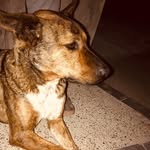 Thomas rivas - @thomasrivas1334 - Instagram