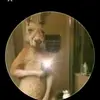 Thomas Rivas - @thomas.rivas2 - TikTok