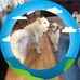 Thomas Rivenbark - Facebook