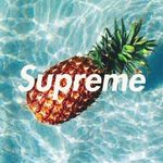 Roan Fredriksson - @thomas_roan - Instagram