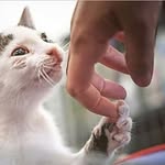 thomasrockey - @thomasrockey3 - Instagram