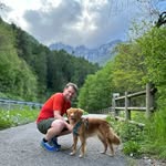 @thomas.roehm - Instagram