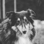 Thomas Rollé - @thomasrolle.pro - Instagram