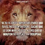 thomasrollet - @thomasrollet - Instagram
