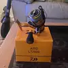 Thomas rolls - @thomas.rolls8 - TikTok