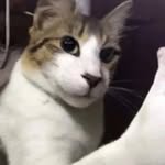 Thomas Romero - @thomas.romero.921677 - Instagram