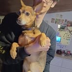 Thomas Rondinelli - Facebook