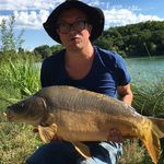 Thomas Roose - @cheapcarpthomas - Instagram