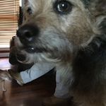 Thomas Rorie - @thomasrorie48 - Instagram