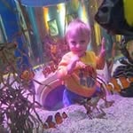 Thomas Rosenbaum - @thomas.rosenbaum.18 - Instagram