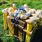Thomas Rost - @boombasticfireworks - Instagram