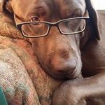 Thomas Rost - @rost6336 - Instagram
