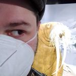 Thomas Rost - @rostflug - Instagram