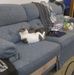 Tom Rothstein - Facebook
