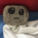 Rockie - @thomasrothwell2019 - Instagram