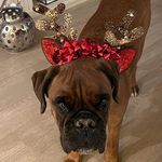 Tom - @thomasrothwell50 - Instagram