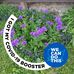 Tom Roughton - Facebook