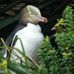 Thomas Rouillard - Facebook