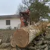 Thomas Rouillard - @thomas.rouillard - TikTok