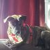 Thomas Rowden - Facebook