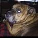 Thomas Rozman - Facebook