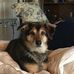 Thomas Rozman - Facebook