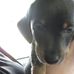 Thomas Ruark - Facebook