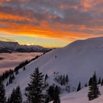 Thomas Rudolf - @anspielerkoenig - Instagram