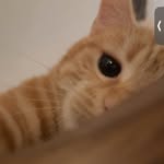 Thomas Rudy - @thomas.rudy.969 - Instagram