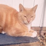 Thomas - @_thomas_rumble_xx - Instagram