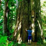 Thomas Rummel - @mtnbiker_247 - Instagram