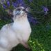 Thomas Rund - Facebook