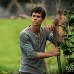 Thomas - @thomas_runner7 - Instagram