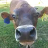 Thomas - @thomasruppel70 - TikTok
