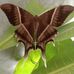 Thomas Rush - Facebook