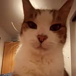 Thomas - @thomas_rushing223 - Instagram