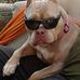 Tom Ryals - Facebook