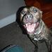 Thomas Sabel - Facebook