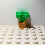Thomas Sabel - @twsabel - Instagram