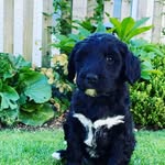 Thomas Sammons - @sammons.thomas - Instagram
