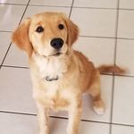 Christy Starr Thomas Sanner - @christystarrsanner - Instagram