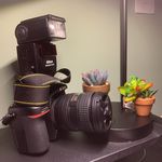 Picturemania - @santucci.thomas - Instagram