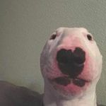 Thomas Santucci - @santucci_thomas - Instagram