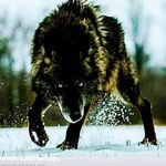 thomassantucci - @thomassantucci - Instagram