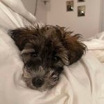 @benjaminthomassavory - Instagram