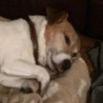 @thomas_sawdon12 - Instagram