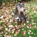 Thomas Saxert - Facebook