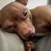 Thomas Saylor - Facebook