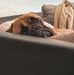 Thomas Seiwert - Facebook