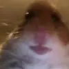 Thomas Scaife - @thomasscaife - TikTok